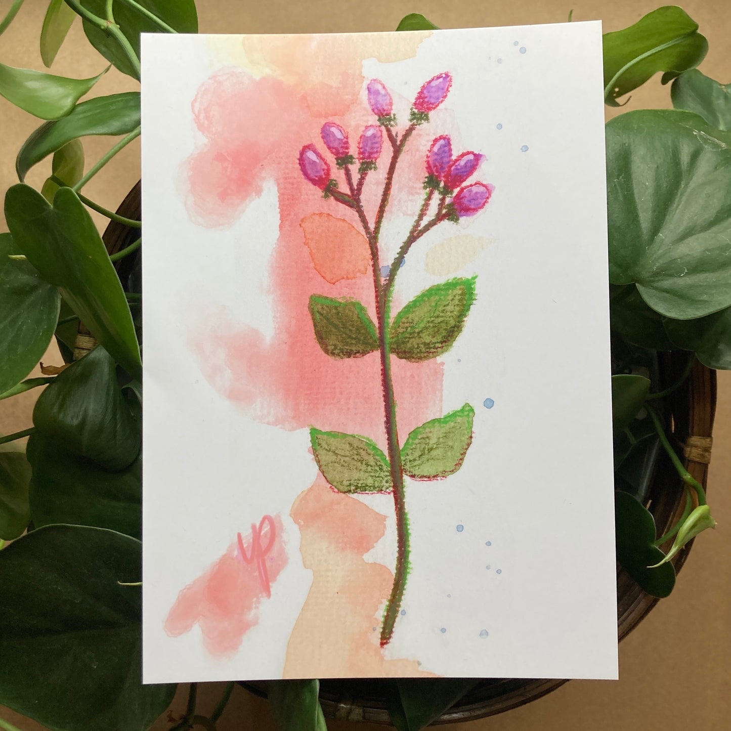 Postcard Print - Berry Bud