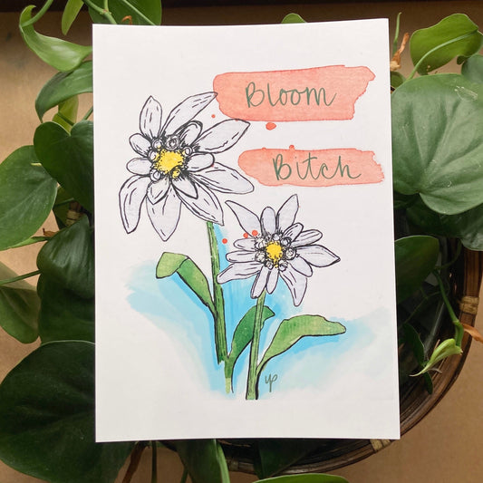 Postcard Print - Bloom B*tch Elderweiss Flower