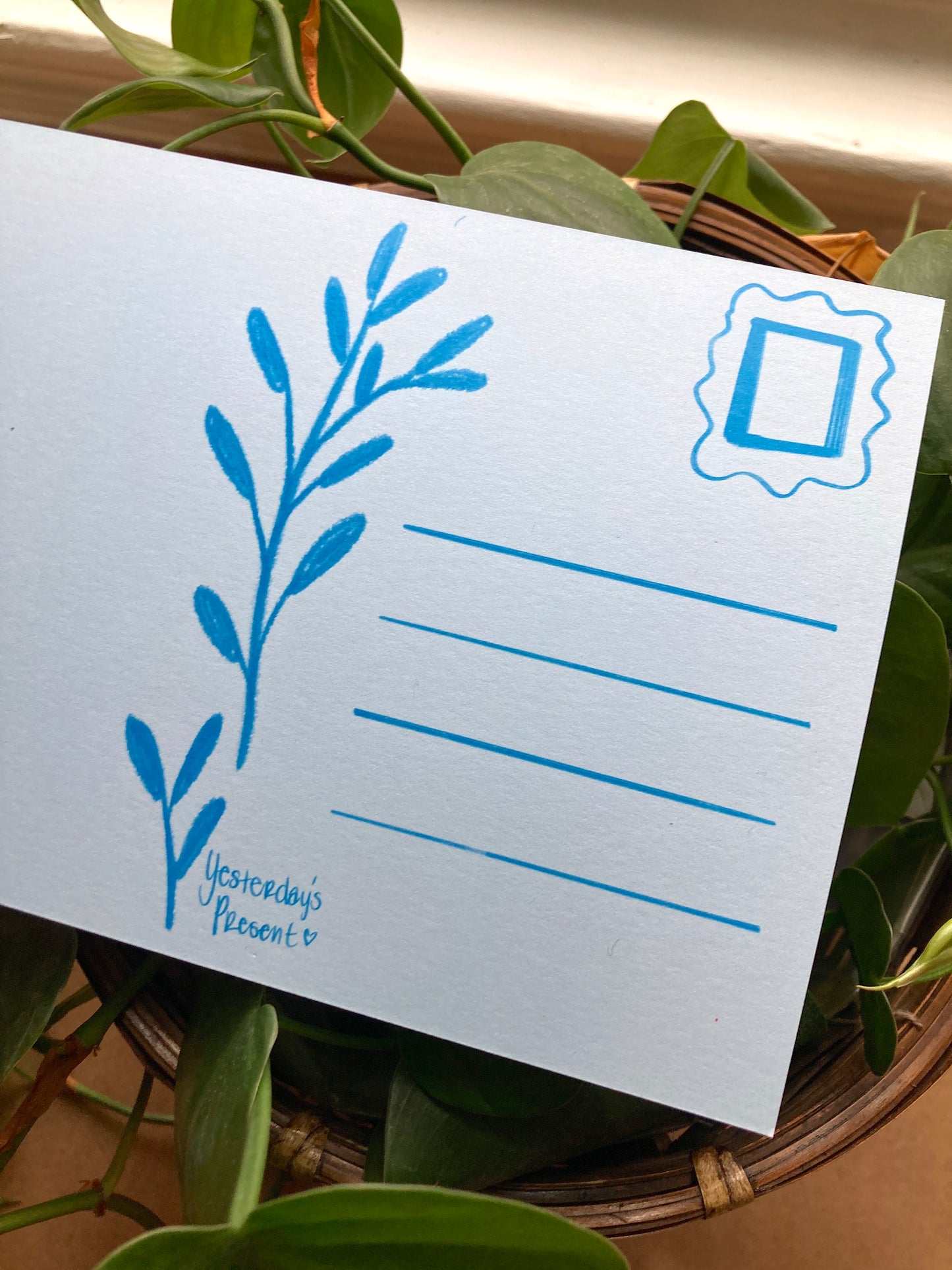 Postcard Print - Bloom B*tch Elderweiss Flower