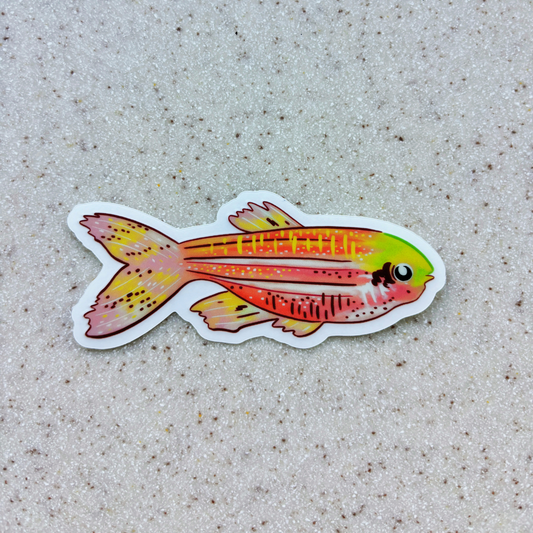 Sticker- Pink Fish