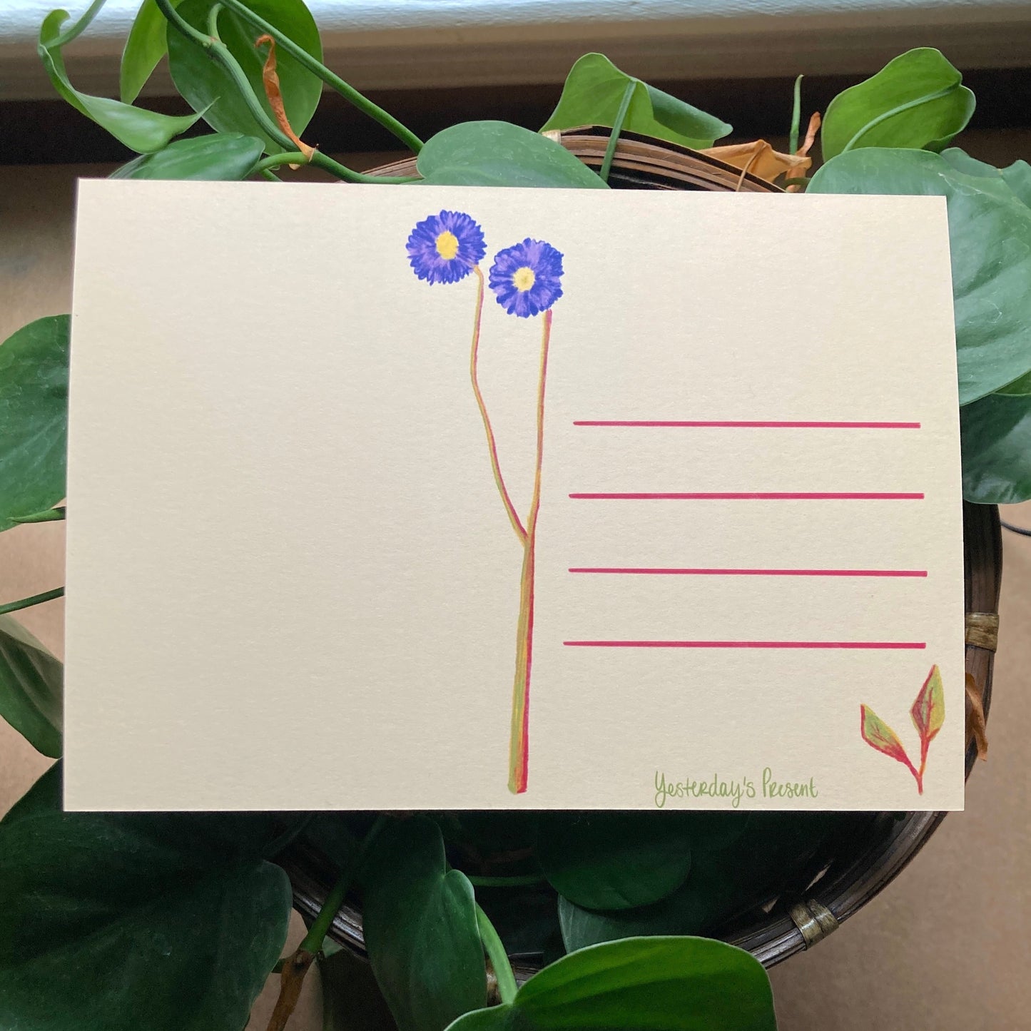 Postcard Print - Berry Bud