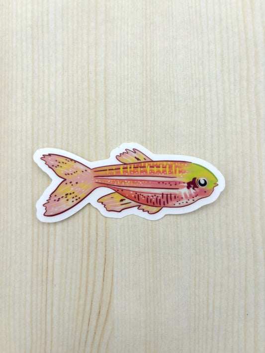 Sticker - Pink Fish