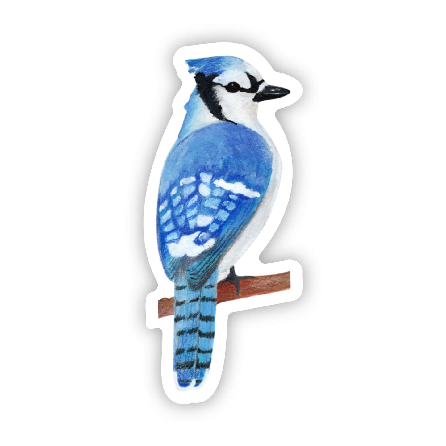 Sticker - Blue Jay