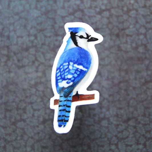 Sticker - Blue Jay