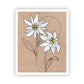 Sticker - Edelweiss Flower