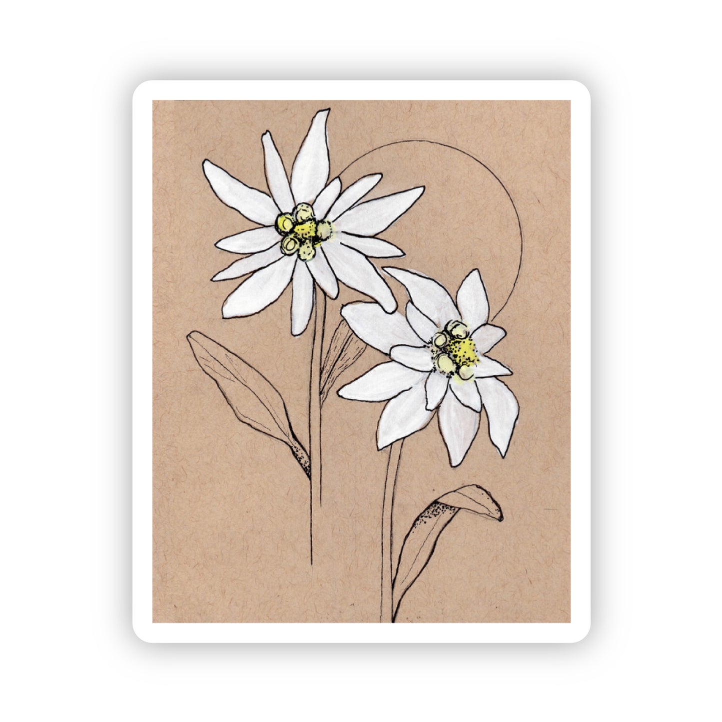Sticker - Edelweiss Flower
